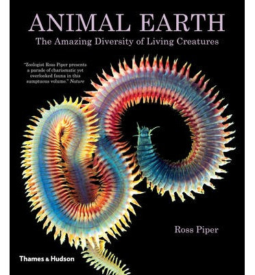 ANIMAL EARTH