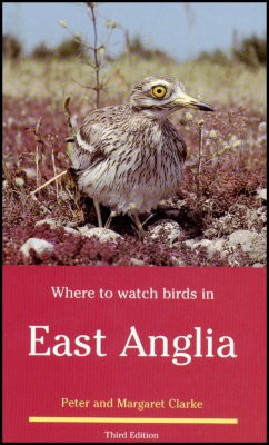 WHERE TO WATCH BIRDS IN EAST ANGLIA