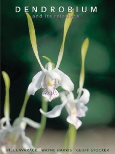 DENDROBIUM AND ITS RELATIVES