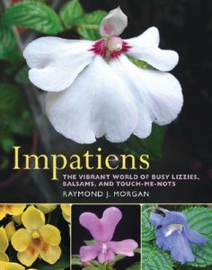 IMPATIENS