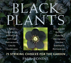 BLACK PLANTS