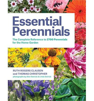 ESSENTIAL PERENNIALS