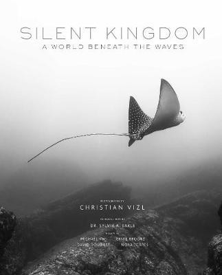 SILENT KINGDOM