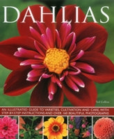 DAHLIAS