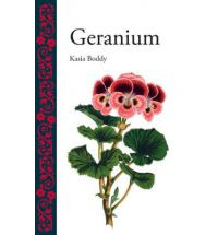 GERANIUM