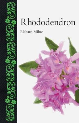 RHODODENDRON