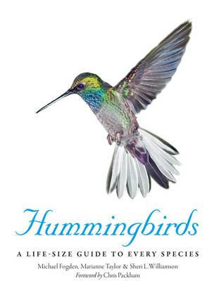 HUMMINGBIRDS