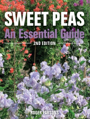 SWEET PEAS