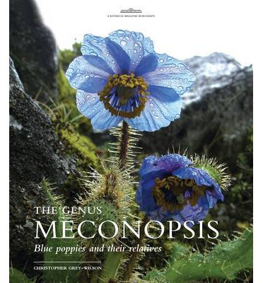 THE GENUS MECONOPSIS