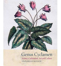 GENUS CYCLAMEN