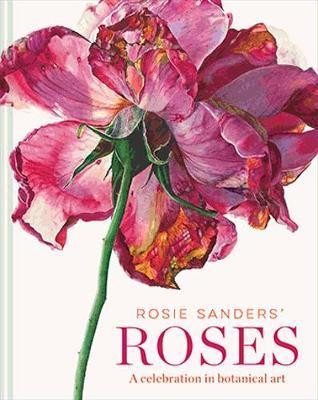 ROSIE SANDERS ROSIES