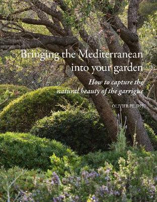 BRINGING THE MEDITERRANEAN INTO YOUR GARDEN