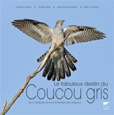 LE FABULEUX DESTIN DU COUCOU GRIS