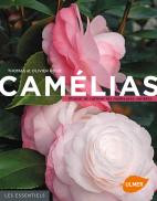 CAMELIAS