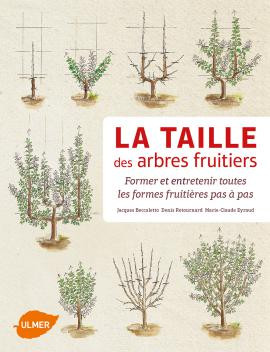 LA TAILLE DES ARBRES FRUITIERS