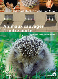 ANIMAUX SAUVAGES A NOTRE PORTE