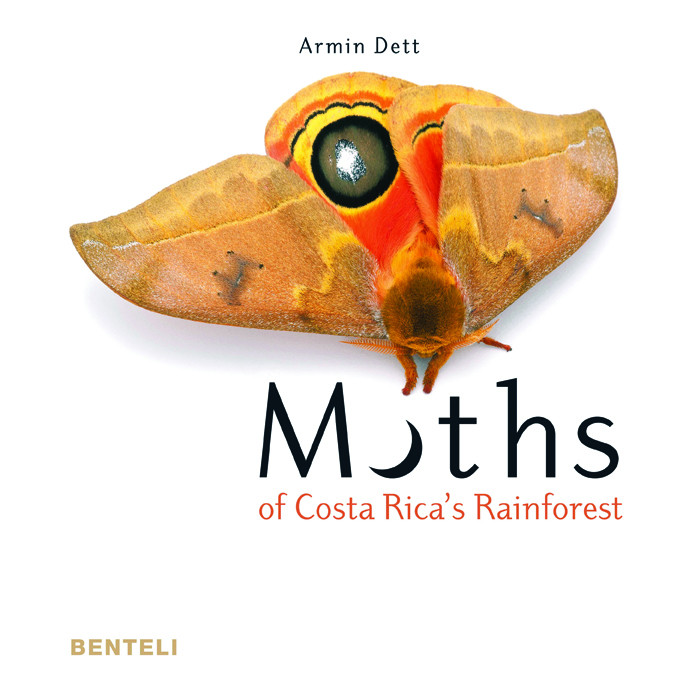 MOTHS OF COSTA RICA S RAINFOREST