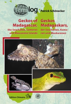 GECKOS OF MADAGASCAR