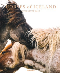 HORSES OF ICELAND