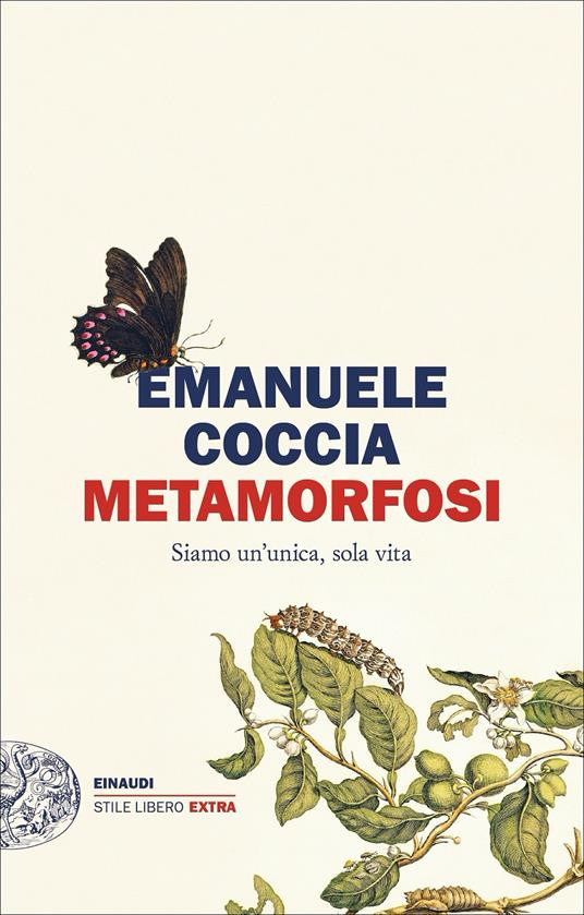 METAMORFOSI