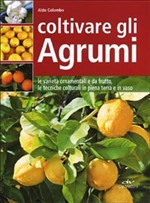 COLTIVARE GLI AGRUMI