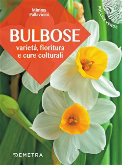 BULBOSE