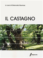 IL CASTAGNO