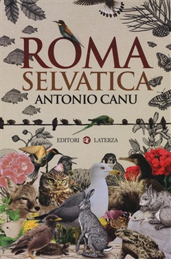 ROMA SELVATICA