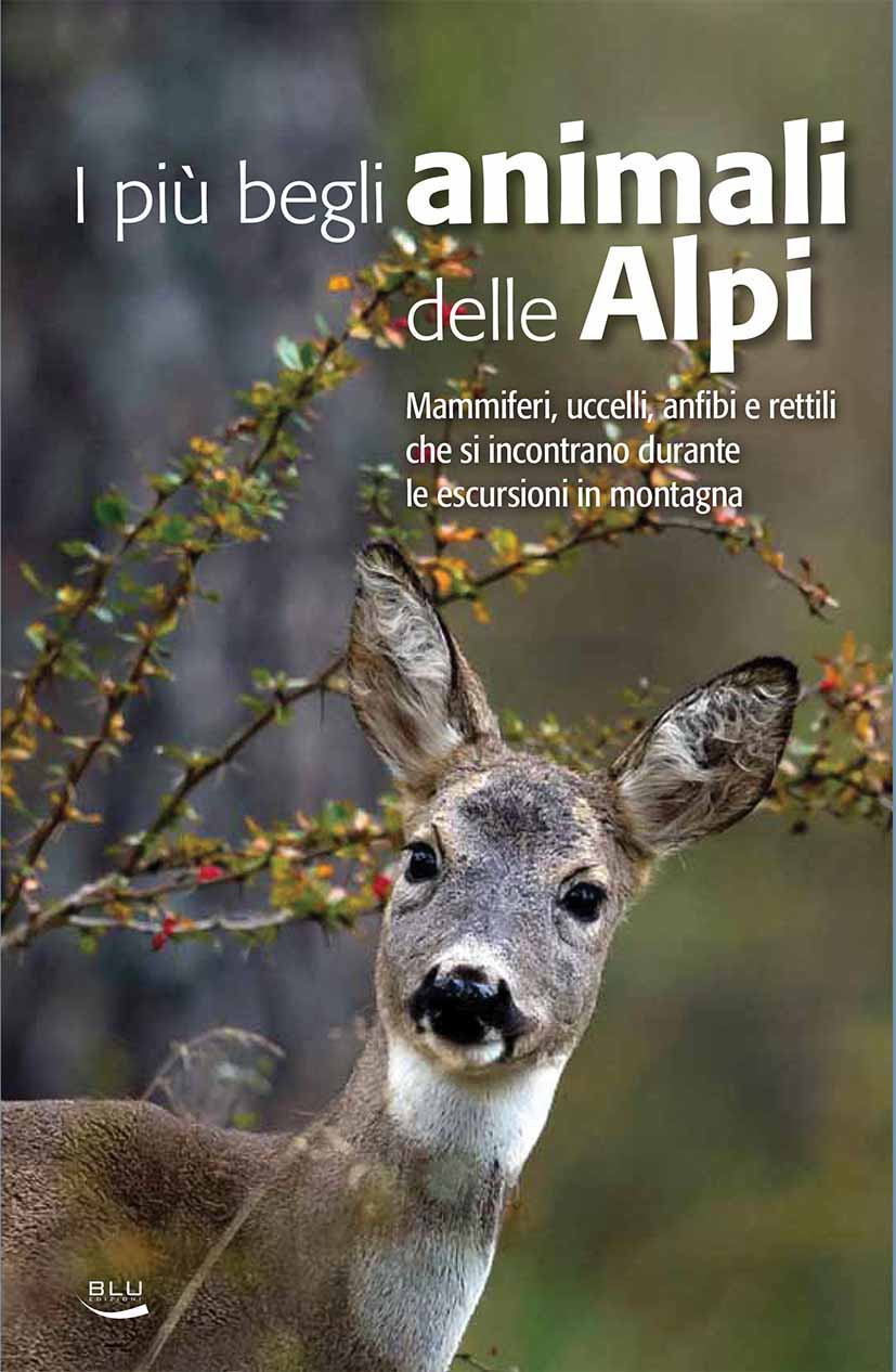 I PIU BEGLI ANIMALI DELLE ALPI