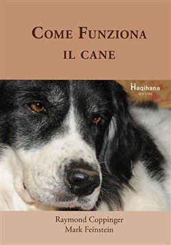 COME FUNZIONA IL CANE