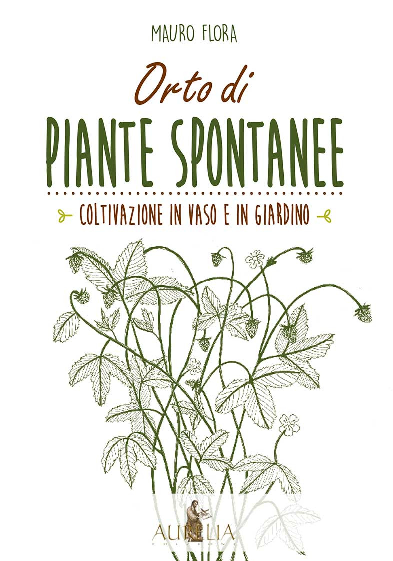 ORTO DI PIANTE SPONTANEE