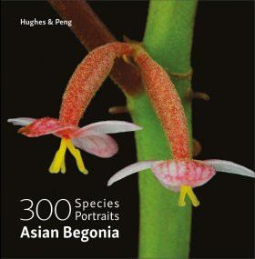 300 SPECIES PORTRAITS ASIAN BEGONIA