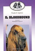 BLOODHOUND