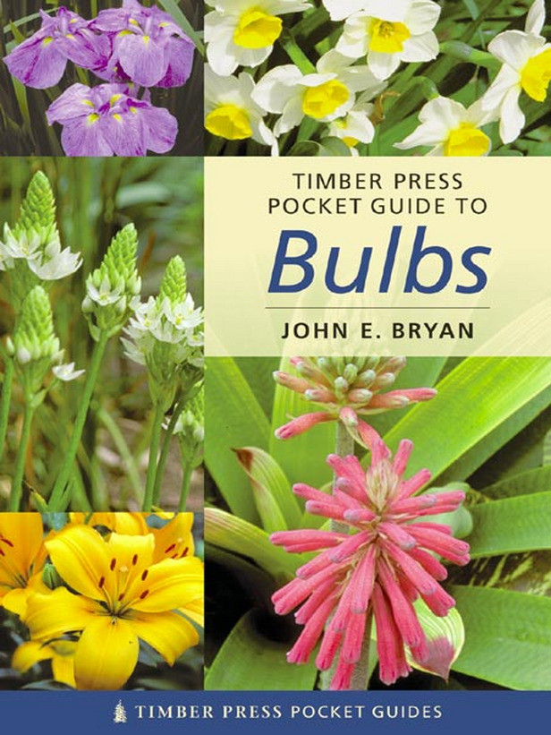 BULBS POCKET GUIDE