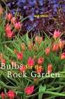 BULBS FOR THE ROCK GARDEN+++