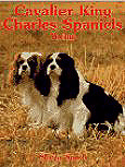 CAVALIER KING CHARLES SPANIEL TODAY