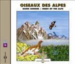 OISEAUX DES ALPES