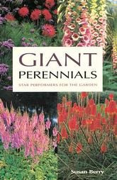 GIANT PERENNIALS