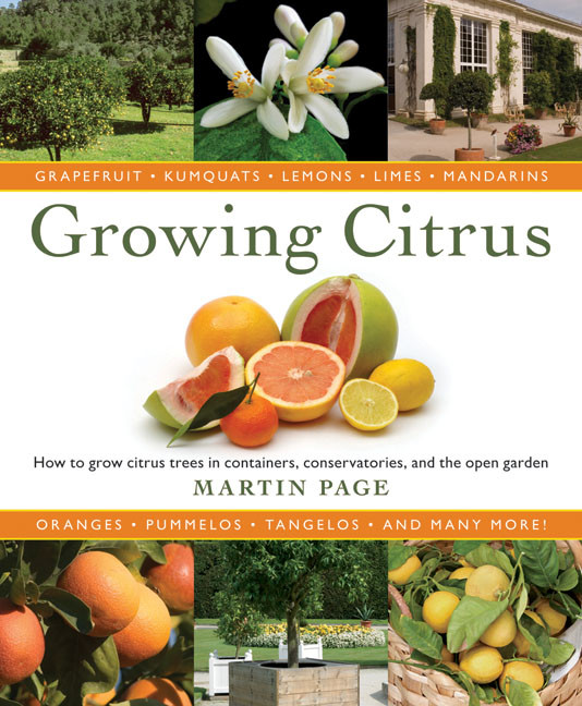 GROWING CITRUS