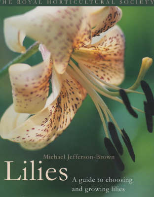 LILIES