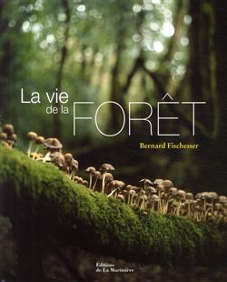 LA VIE DE LA FORET